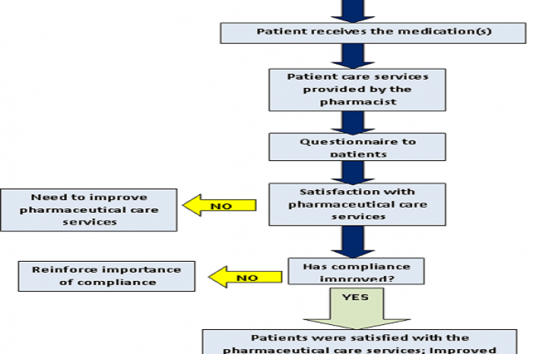 Assessment of Pharmaceutical Care Services Provided by a Community ...